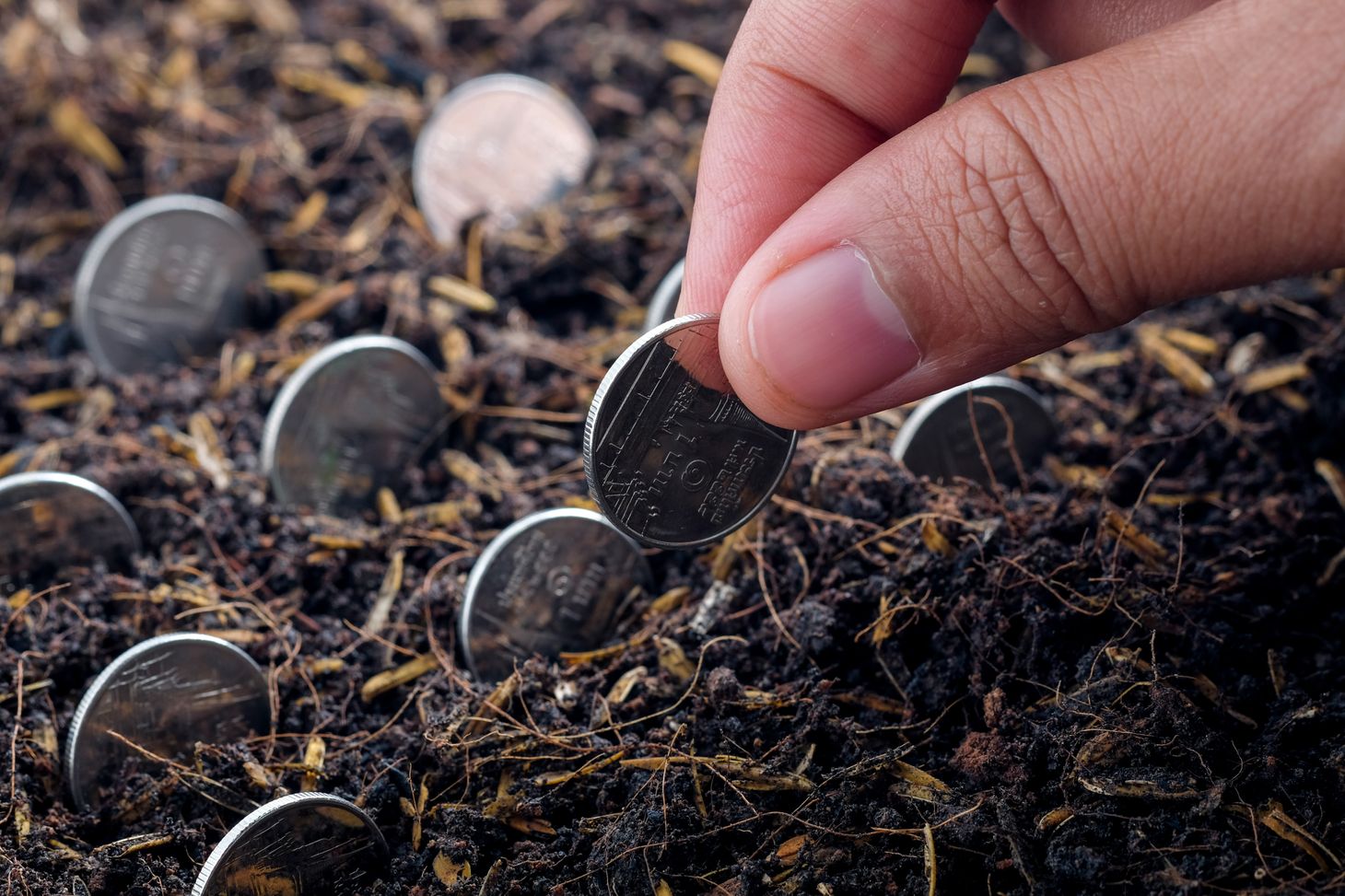 Image of coins being planted like seeds