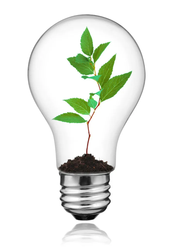 Grow your innovation expertise from incremental to emergent to game-changing innovations