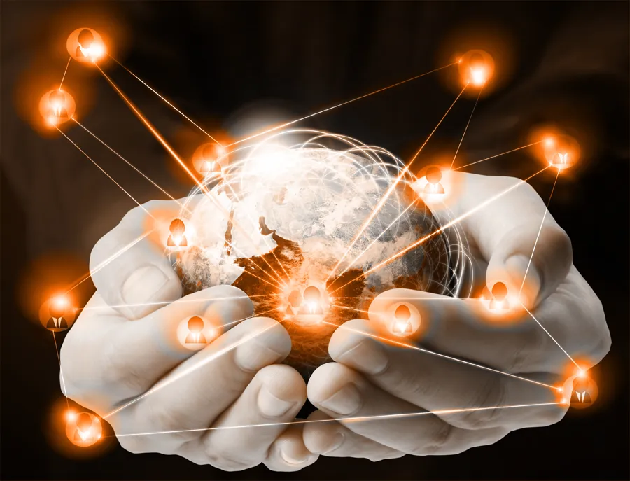 Creation of the Online Community