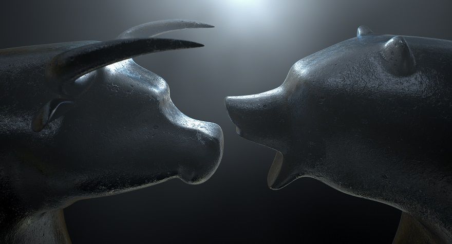 Picture of bull and bear symbolizing the difference between optimism and pessimism